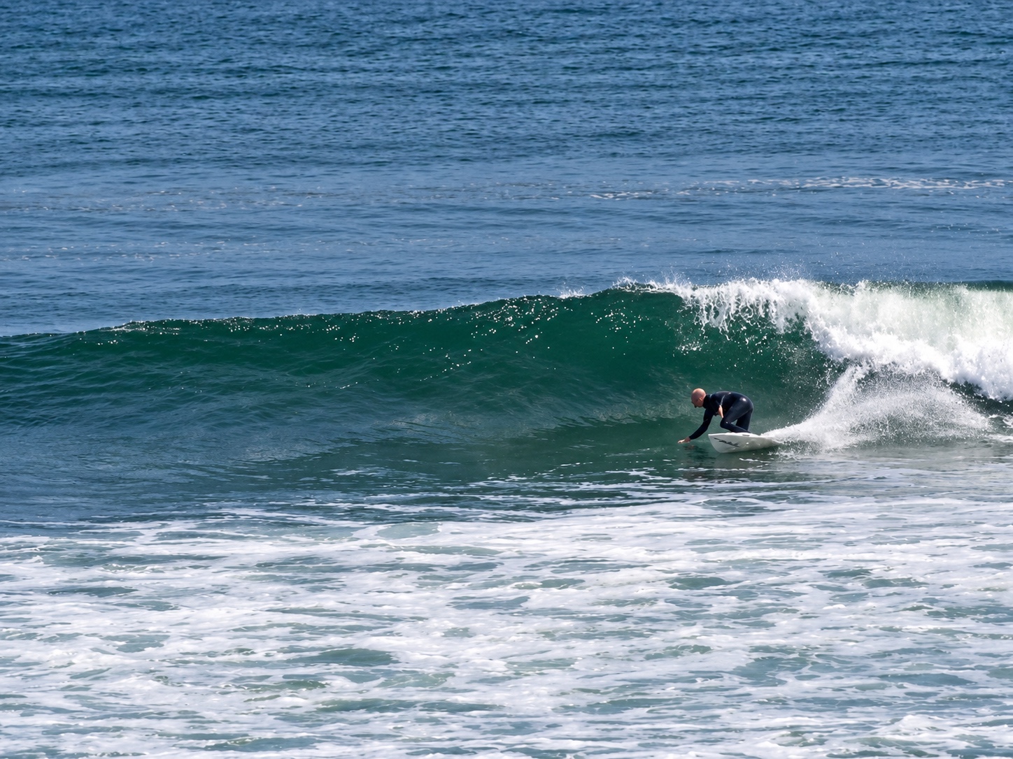 Surfing in Scorpion Bay, 2021